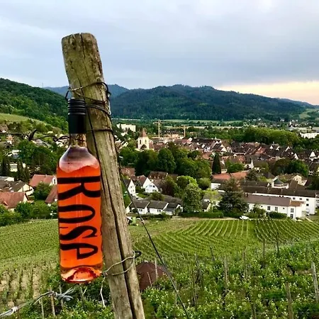 & Zum Hirschen 2* Staufen-en-Brisgau