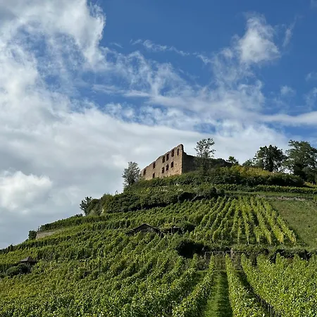 Hotel & Zum Hirschen 2*