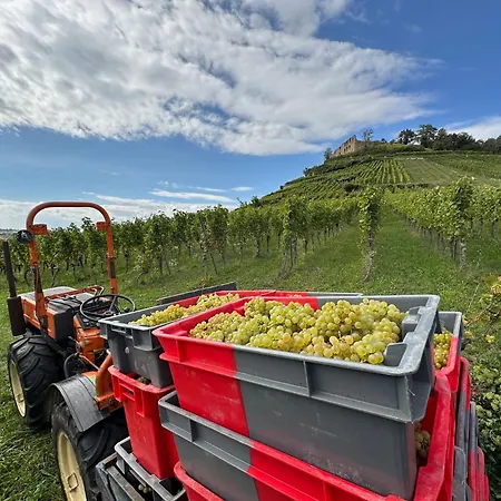 Zum Hirschen Ξενοδοχείο Staufen im Breisgau