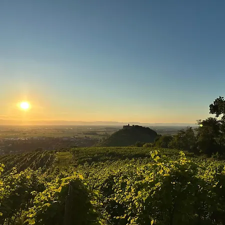 Hotel & Zum Hirschen Staufen im Breisgau