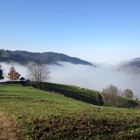 Zum Hirschen 2* Staufen im Breisgau