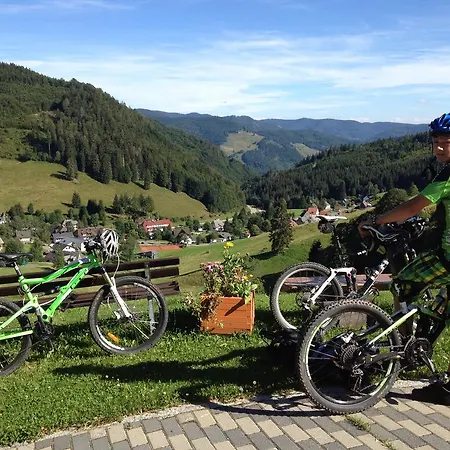 Zum Hirschen Ξενοδοχείο 2*