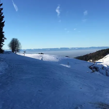 Zum Hirschen Ξενοδοχείο 2*