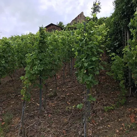Zum Hirschen 2* Staufen im Breisgau